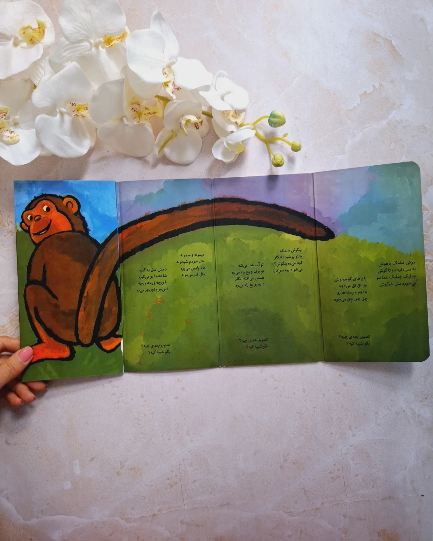 کتابهای شعر تاشدنی