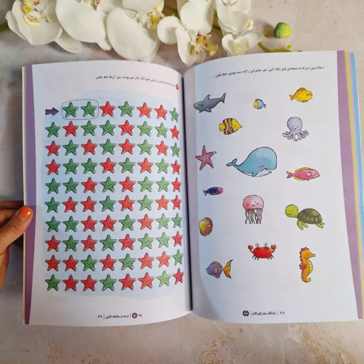 کتاب کار باشگاه مغز کودکان