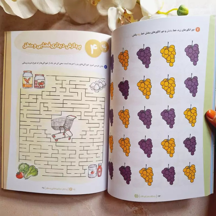 کتاب کار باشگاه مغز کودکان