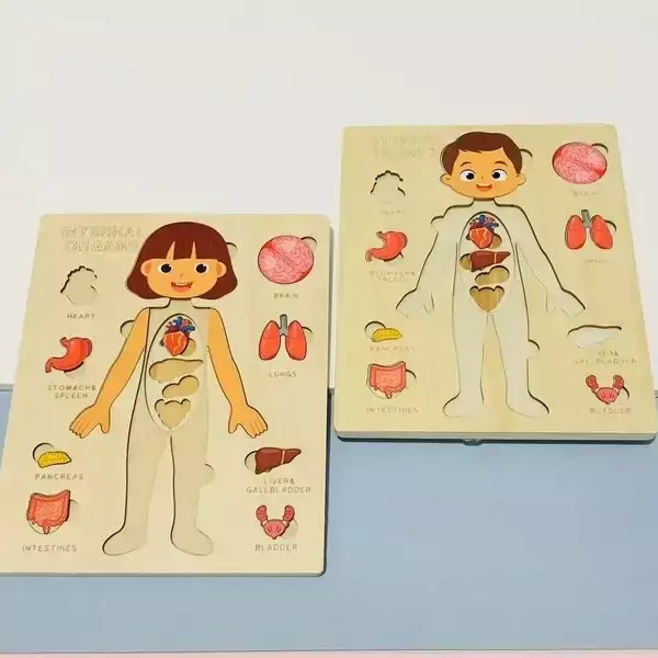 پازل آناتومی بدن چوبی