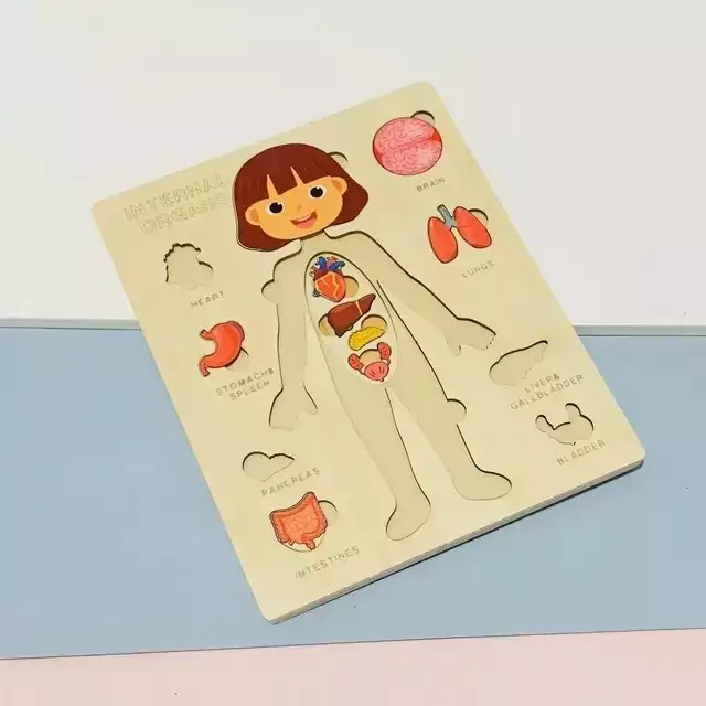 پازل آناتومی بدن چوبی