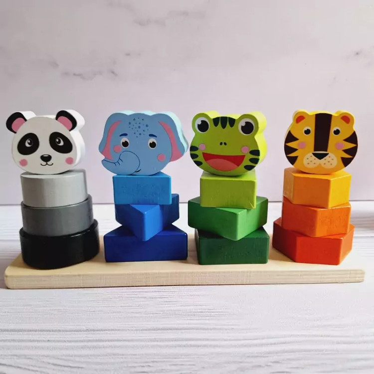 پایه اشکال.پایه اشکال حیوانات