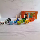 پایه اشکال.پایه اشکال حیوانات