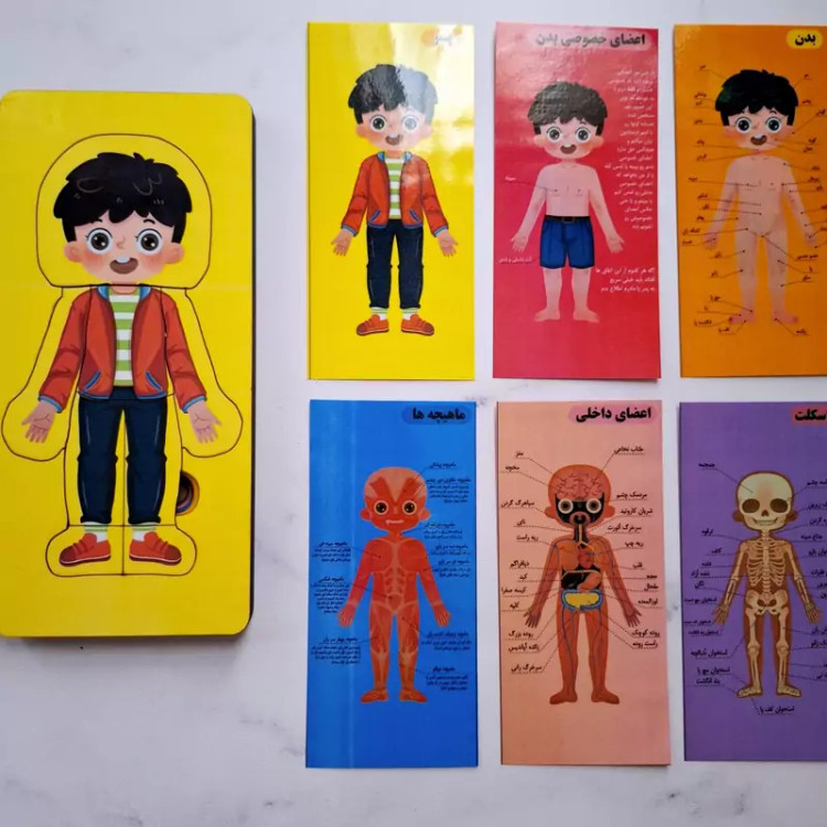 پازل چندلایه چوبی اعضای بدن،پازل آموزشی چوبی