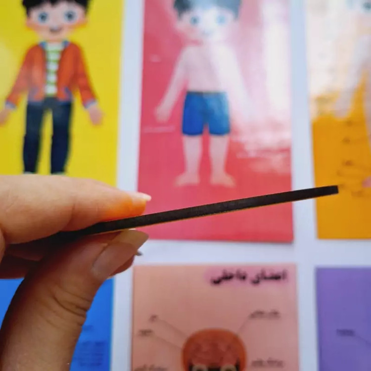پازل چندلایه چوبی اعضای بدن،پازل آموزشی چوبی