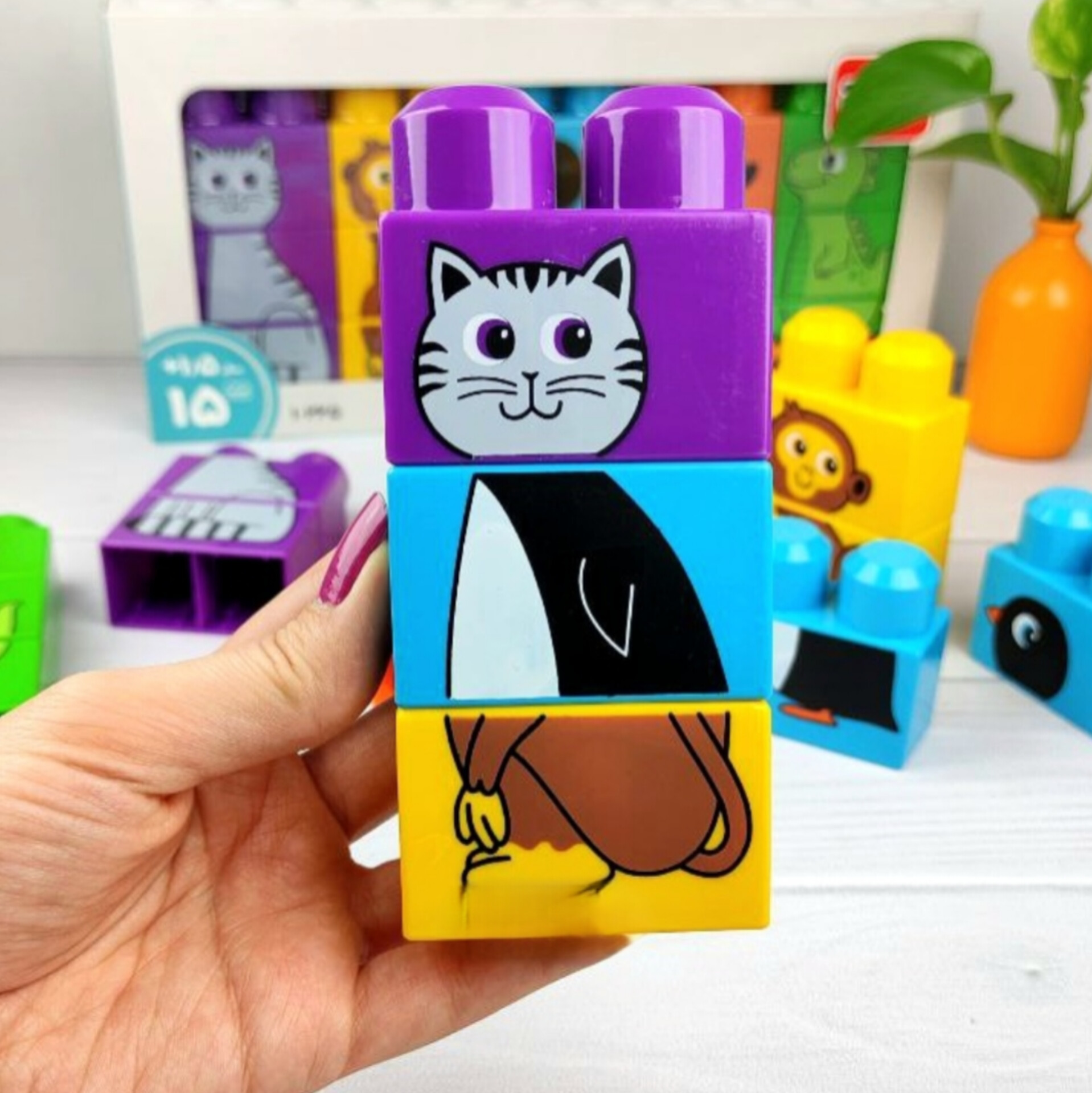 آجره حیوانات