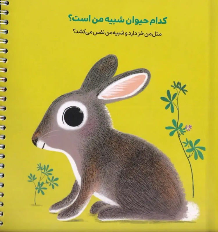 خرید کتاب کودک