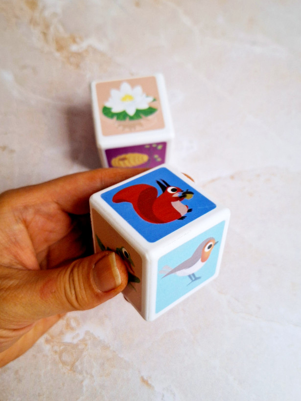 مکعب آموزشی